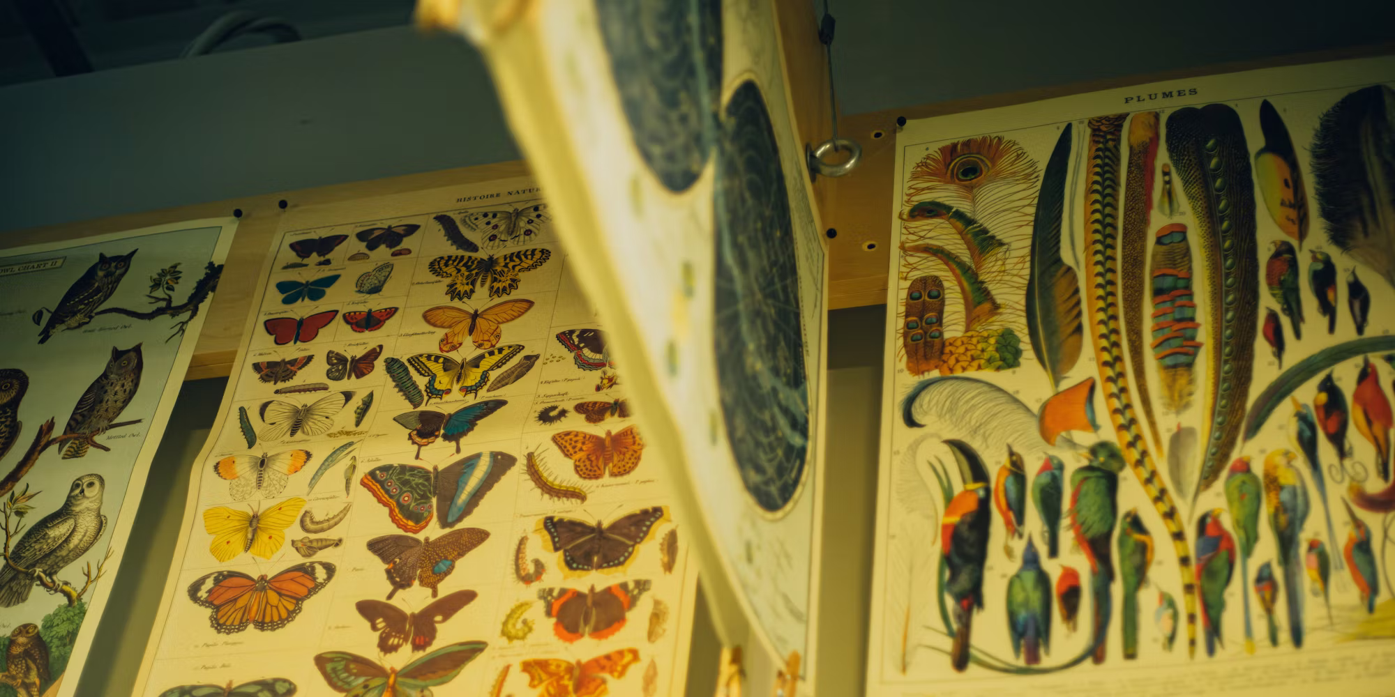 Navigating the New Normal: Retail Strategies in a Changing Landscape
